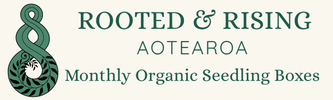 Rooted &amp; Rising - Monthly Organic Seedling Boxes - Home